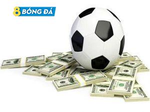 Cá độ bóng đá chỉ là giải trí hay là con đường kiếm tiền