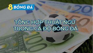 Tổng hợp các Thuật Ngữ Cá Độ bóng đá Chi Tiết Nhất