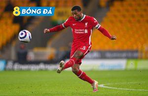 Wijnaldum khả năng cao sẽ rời sân Anfield hè tới