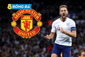 MU là điểm đến lý tưởng của Kane