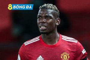 Manchester United sắp trao hợp đồng mới cho Paul Pogba