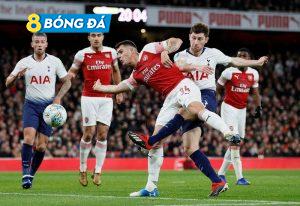 Thần Rùa tiên tri dự đoán kết quả Arsenal vs Tottenham
