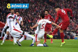 Thần Rùa tiên tri dự đoán kết quả Liverpool vs Crystal Palace