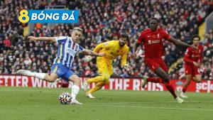 Brighton đã có một trận đấu kiên cường