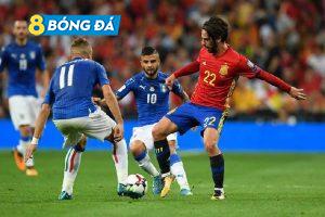 Thần Rùa tiên tri dự đoán kết quả Ý vs Tây Ban Nha, 01h45 ngày 07/10