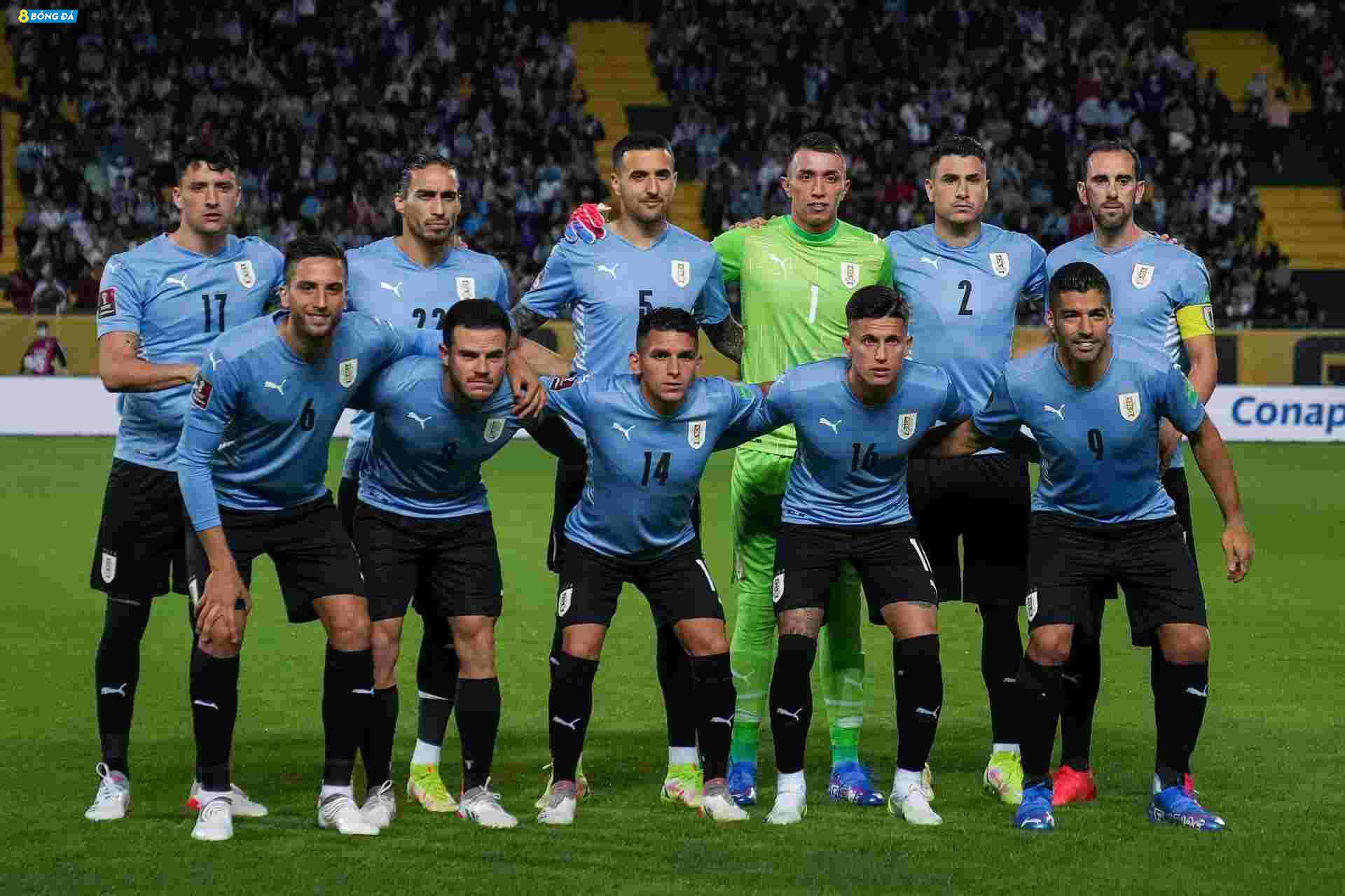 Uruguay là đội tuyển tương đối mạnh tại Nam Mỹ