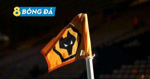 Bão Covid đã tràn tới CLB Wolves