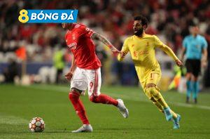 cham-diem-benfica-vs-liverpool-1-3-salah-xit-luis-diaz-thang