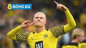 Haaland không quá quyết tâm vào thương vụ mua Haaland