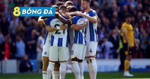 Brighton vs Wolves 6-0