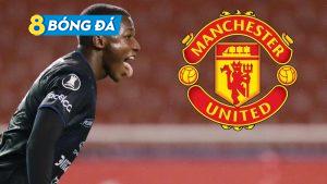 MU chiêu mộ Moises Caicedo