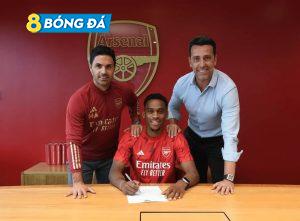 Arsenal chính thức sở hữu Jurrien Timber